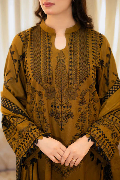 3pc unstitched dhanak  dress with dhannak Emb shawl 2647