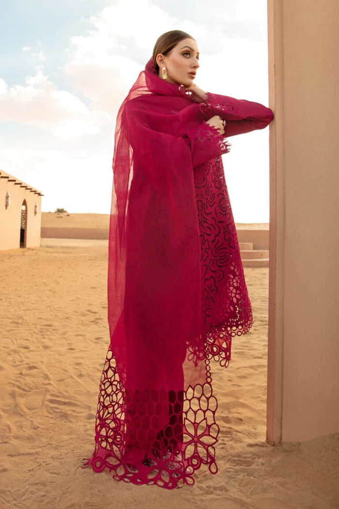 Rang Rasyia 3pc lawn unstitched suit with organza dupatta