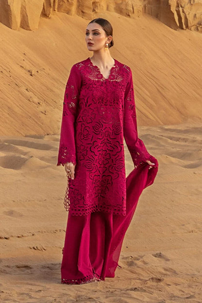 Rang Rasyia 3pc lawn unstitched suit with organza dupatta